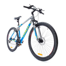 74cm (29 inch) Everest Mountain Bike