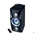 Large Speaker